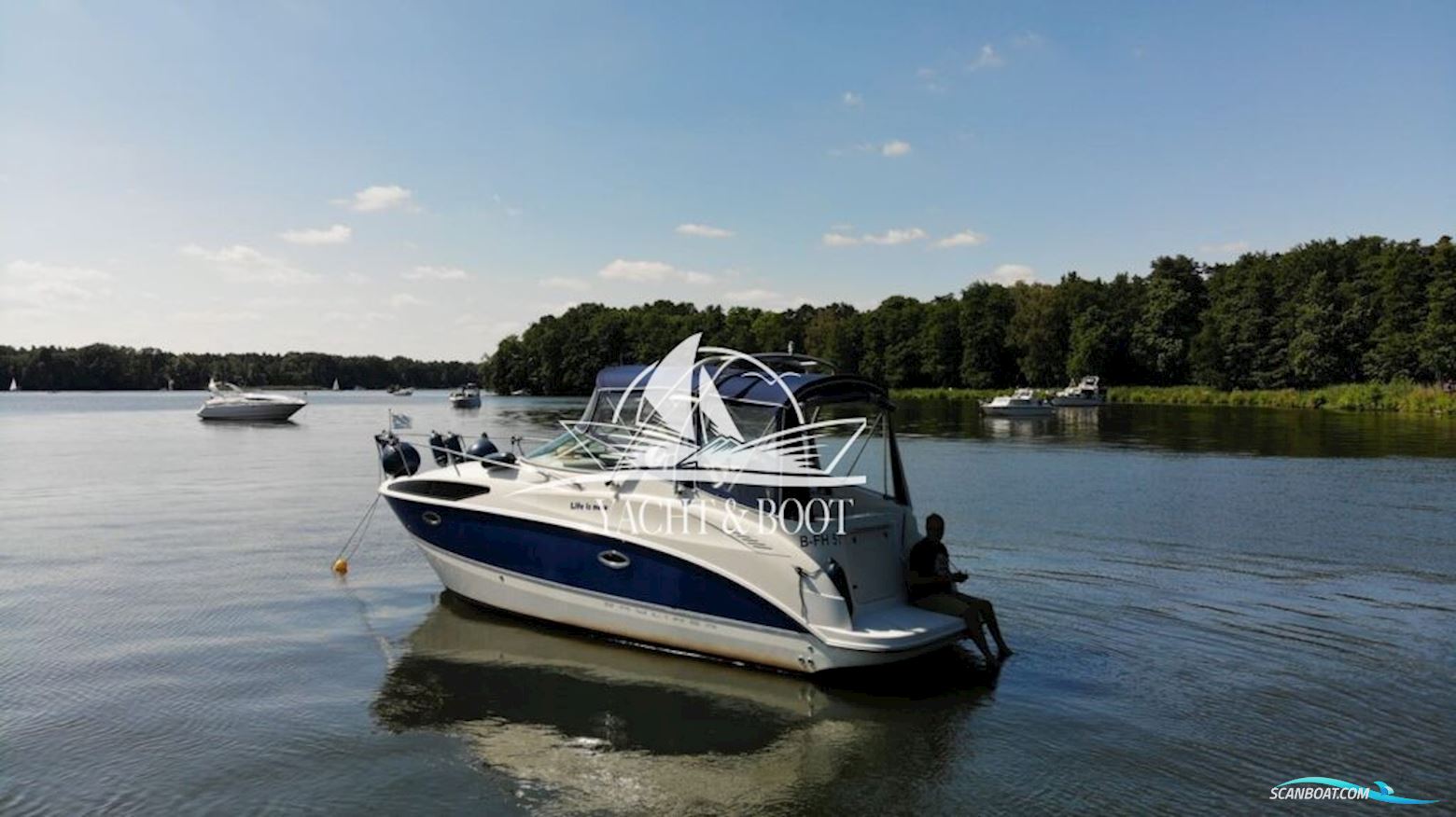 Bayliner 265