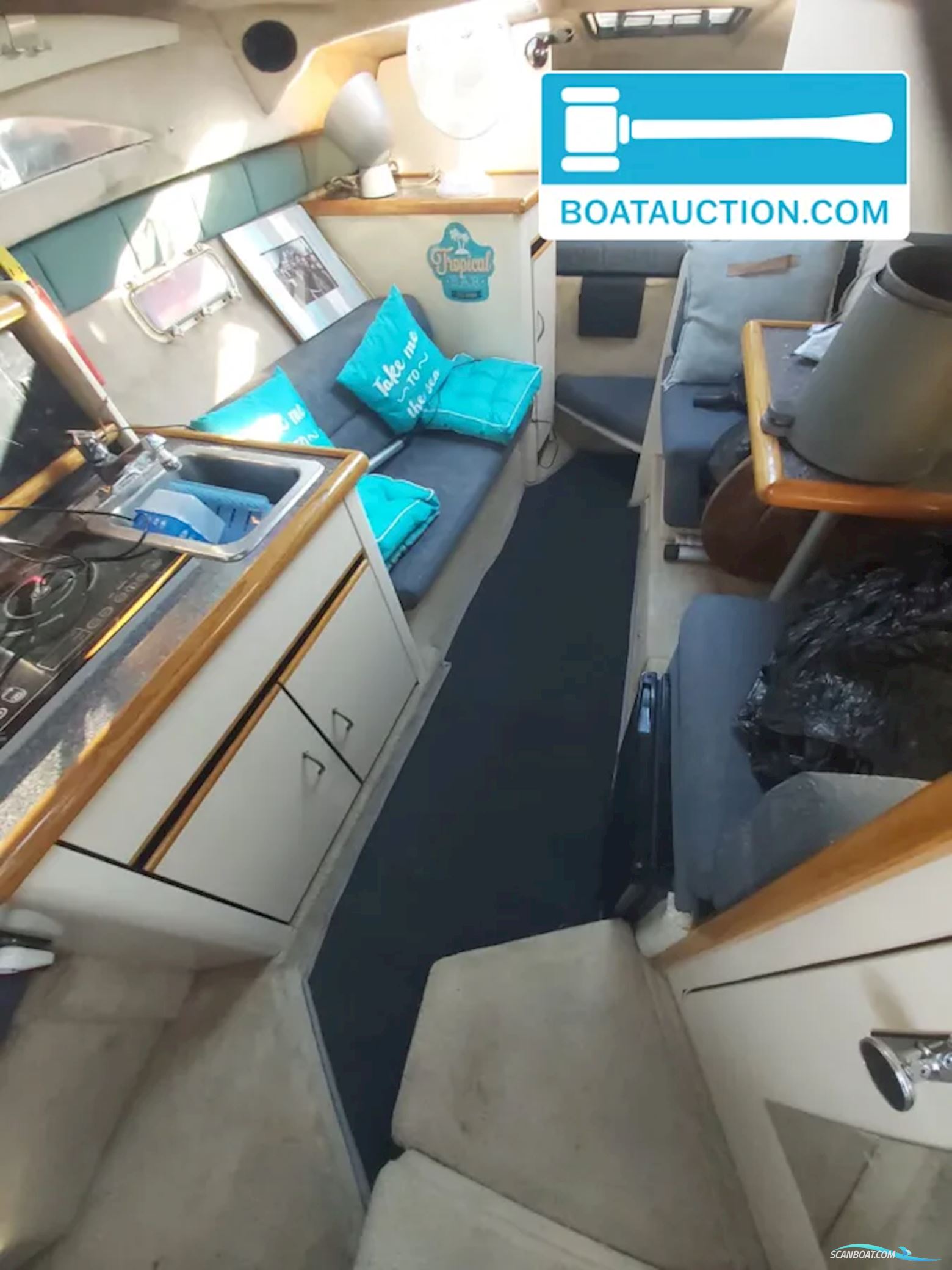 Bayliner 2655 wide body