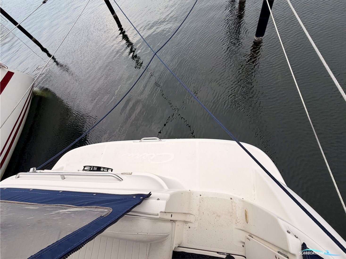 Bayliner 305 