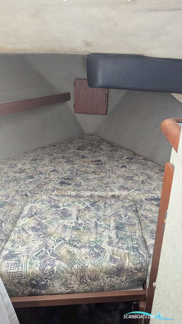 Bayliner 3288 Flybrigde