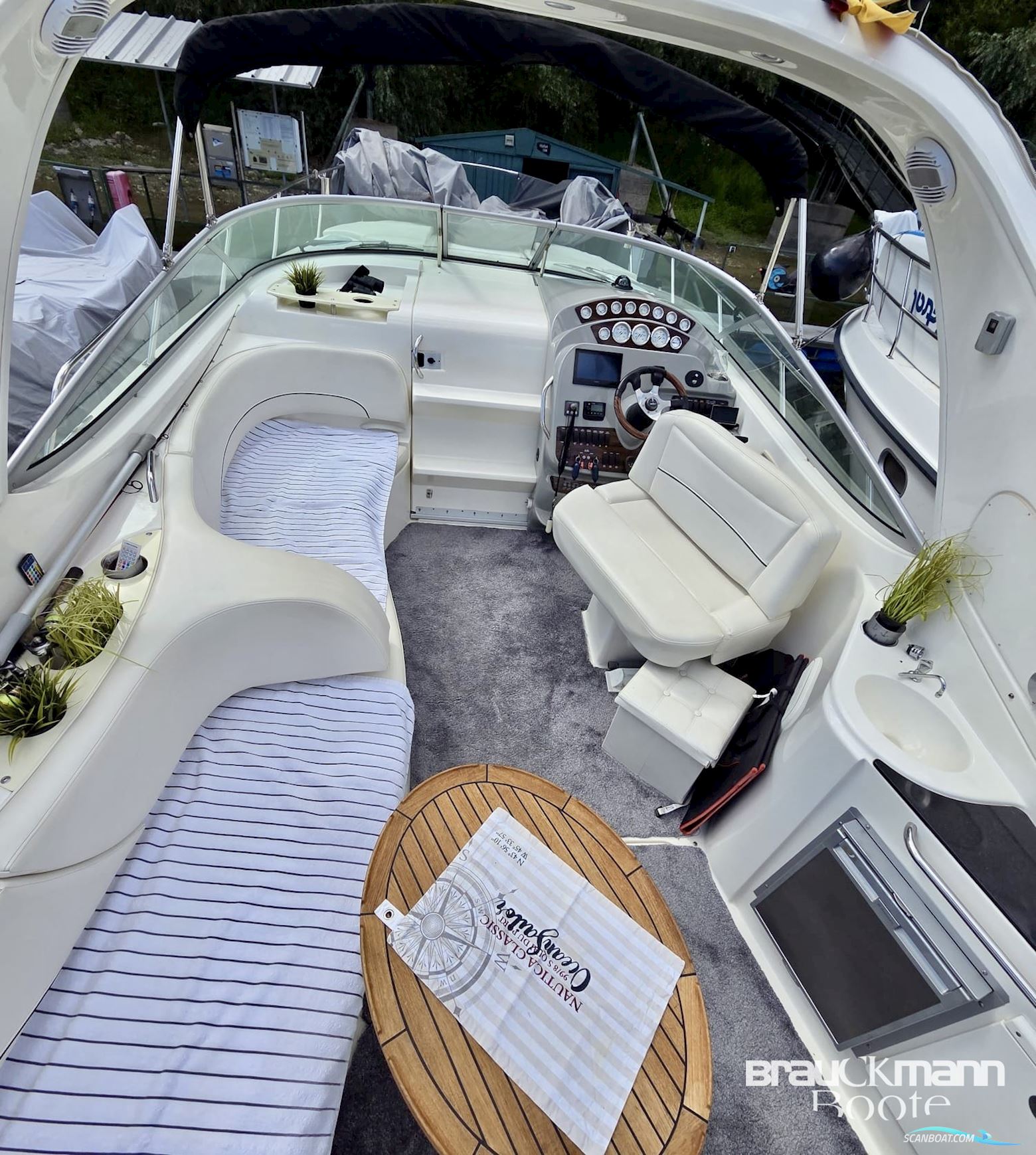 Bayliner 335