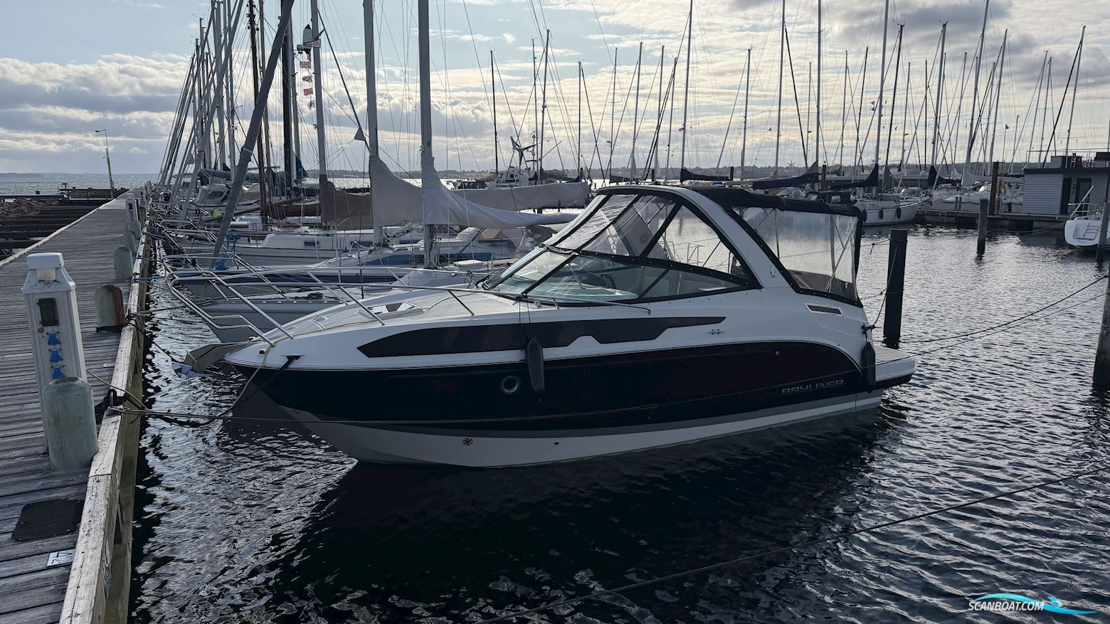 Bayliner Ciera 8