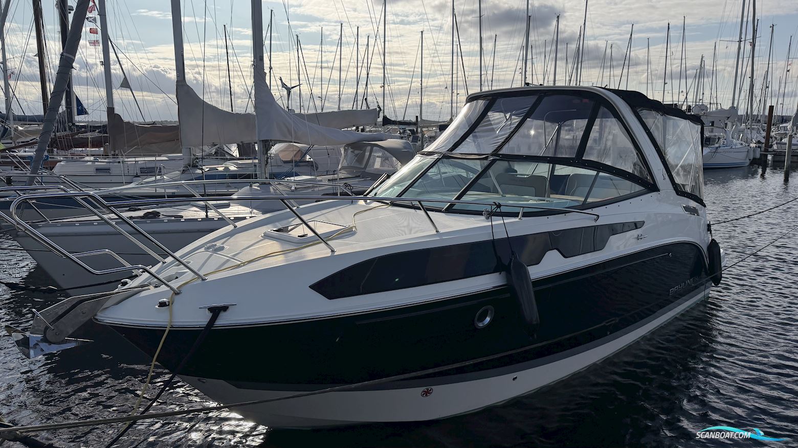 Bayliner Ciera 8
