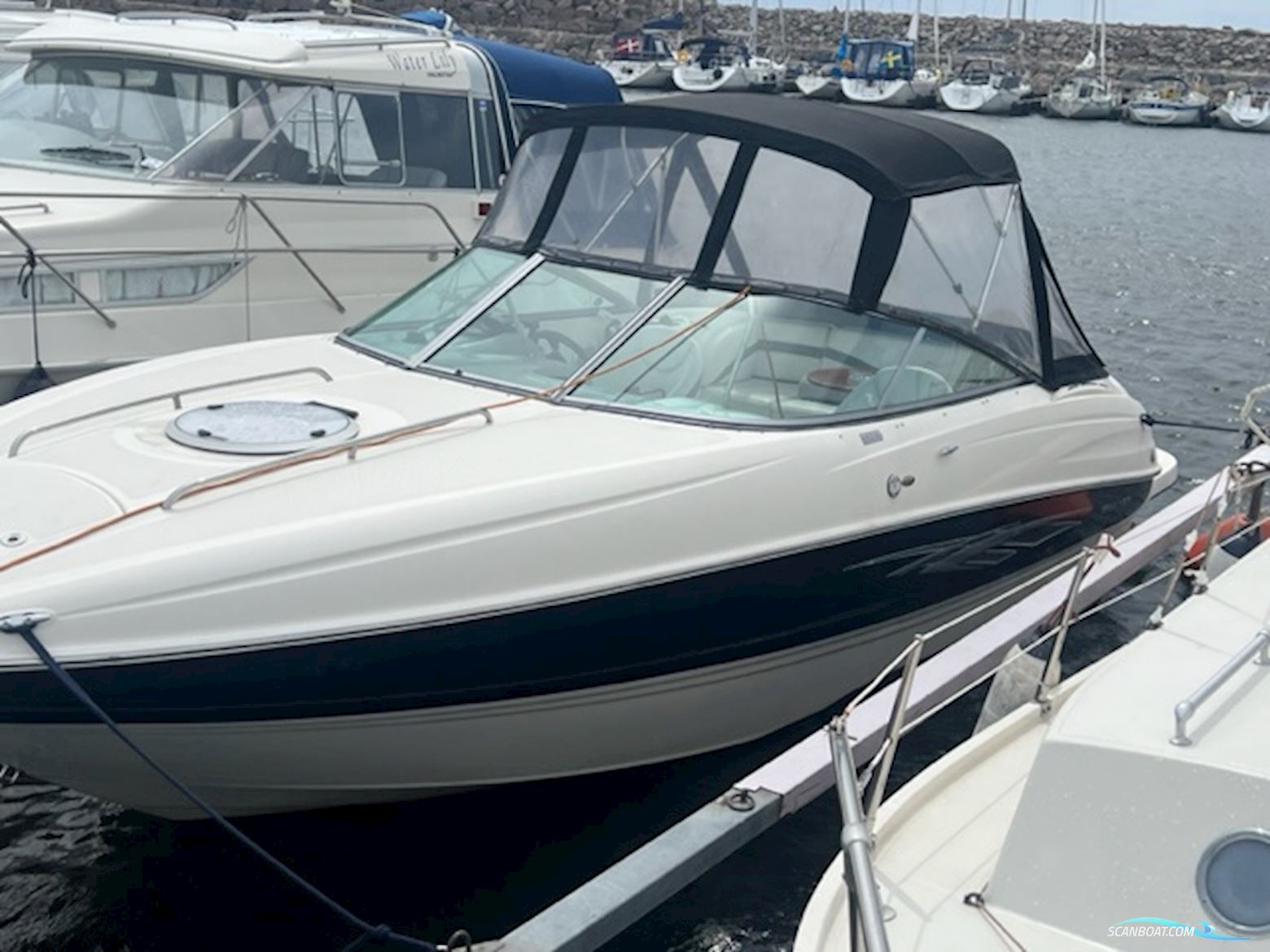 Bayliner Cuddy 802