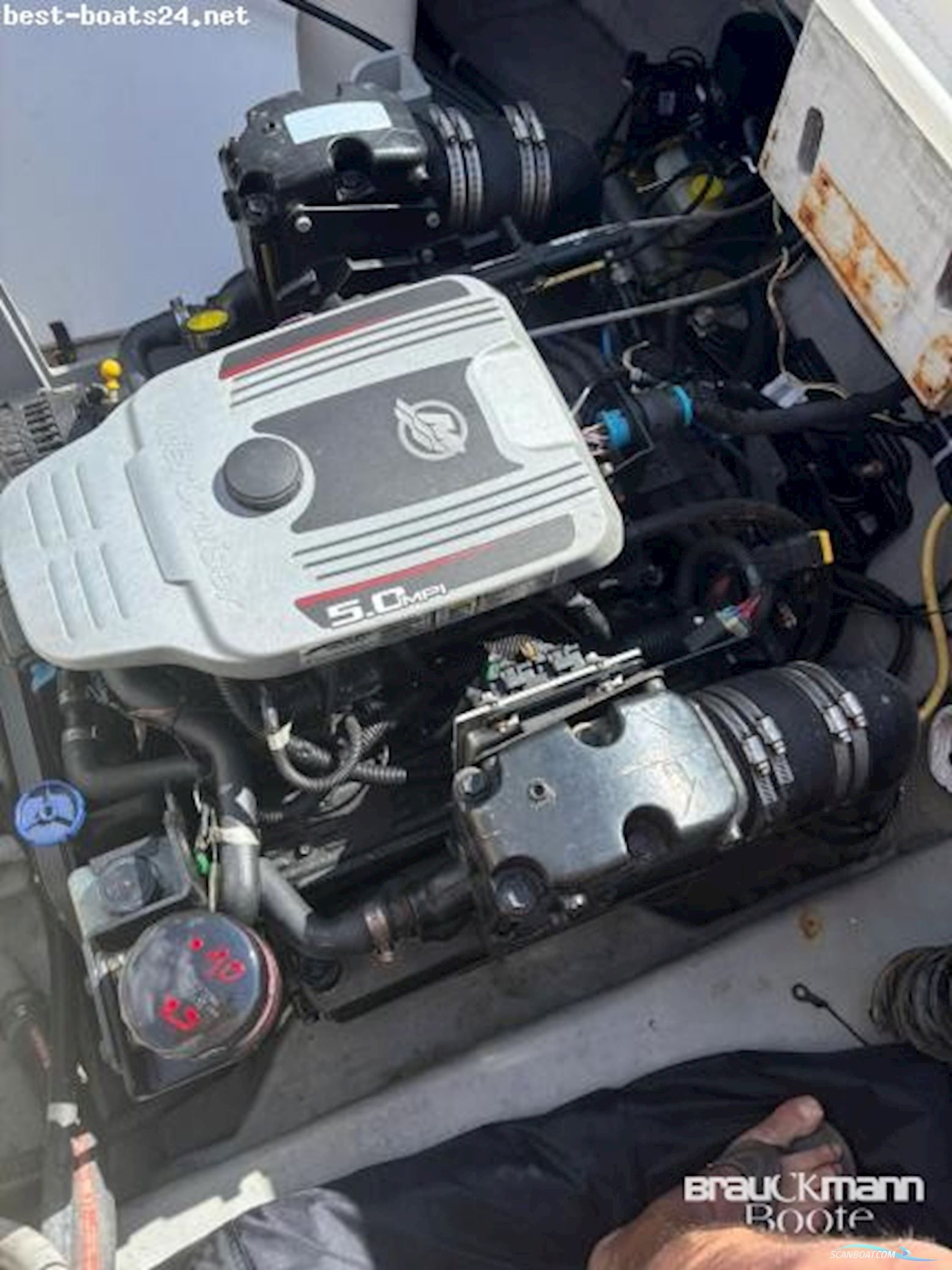 Bayliner Modell