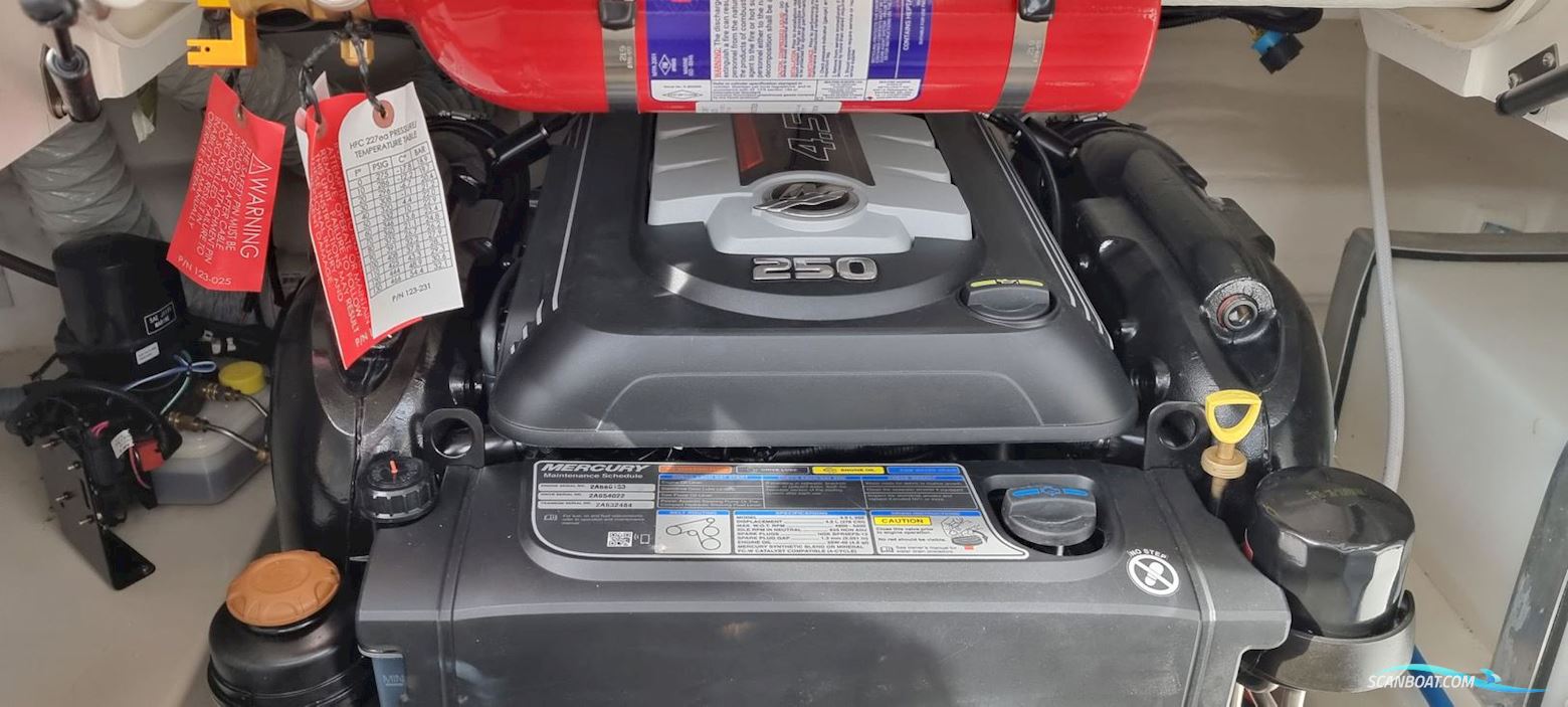 Bayliner VR6 - Mercruiser 4.5L