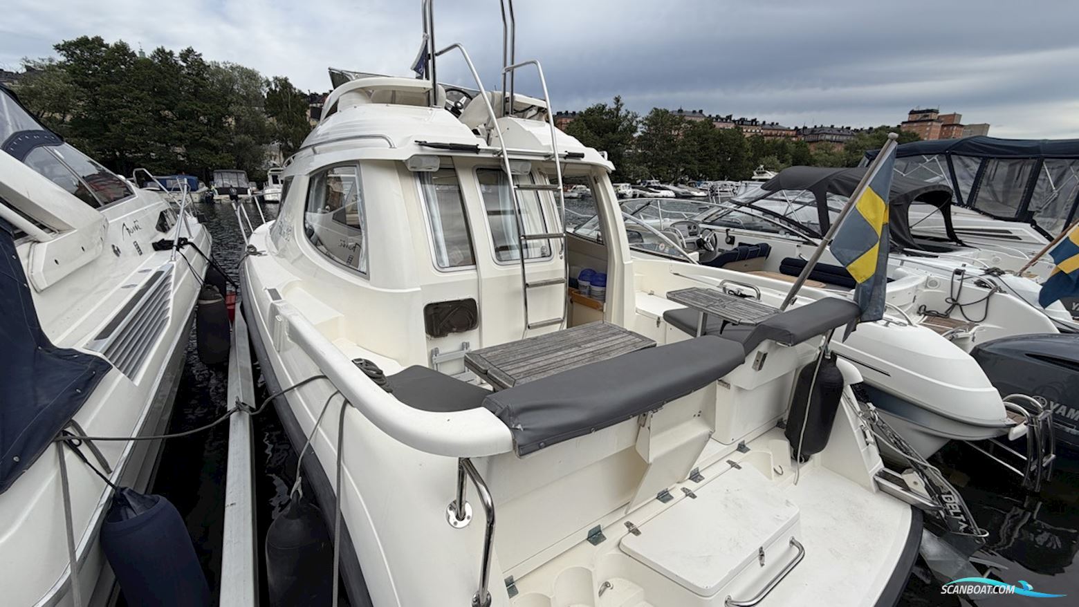 Bella Falcon Falcon 35