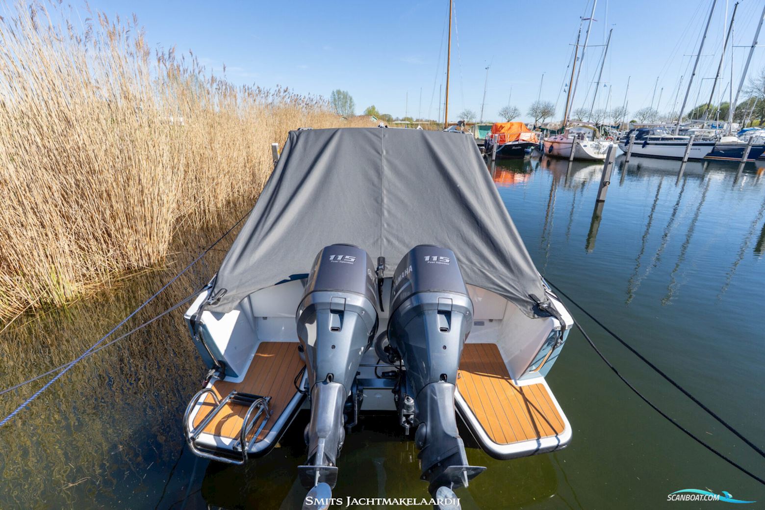 Bertram 25