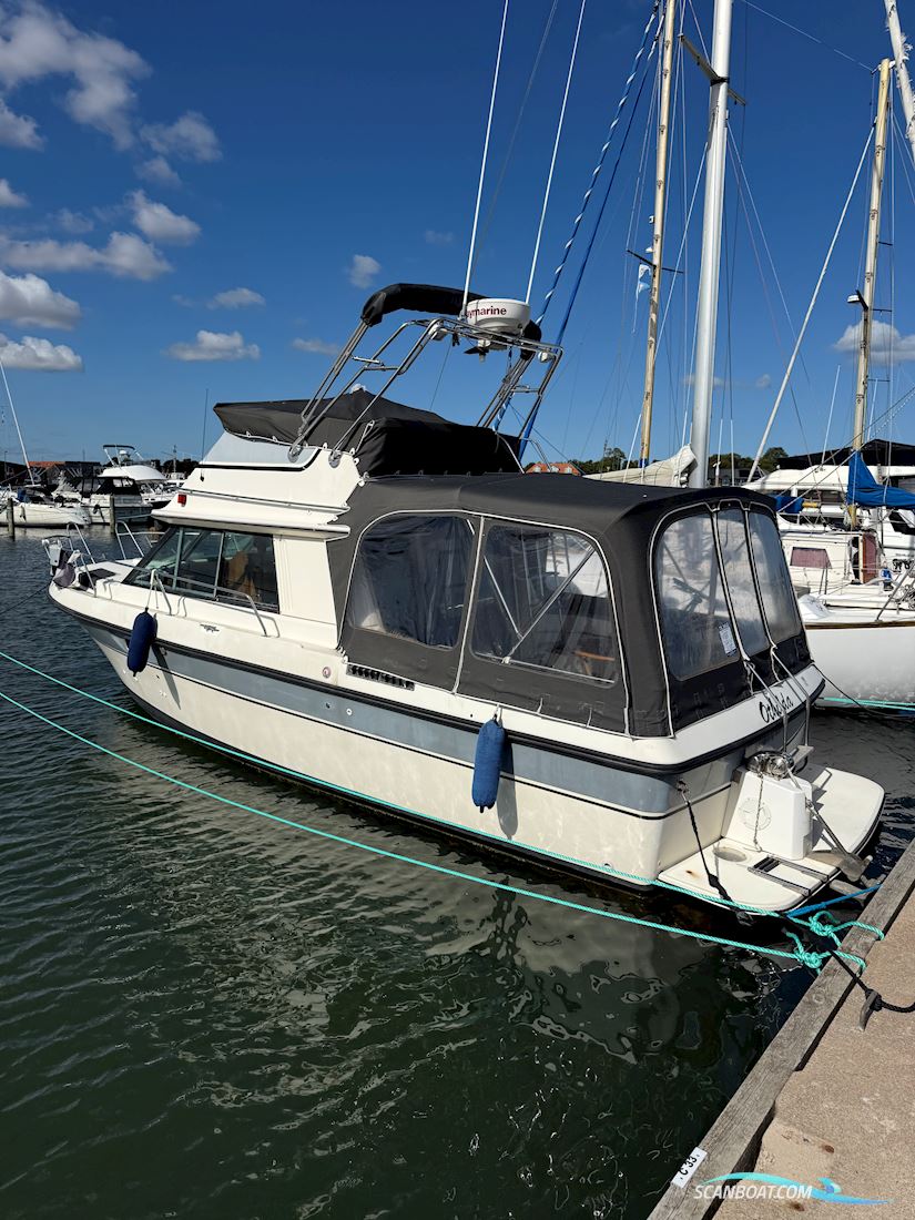 Bertram 30 Fly Motorbåt 1986, med Yanmar  motor, Danmark