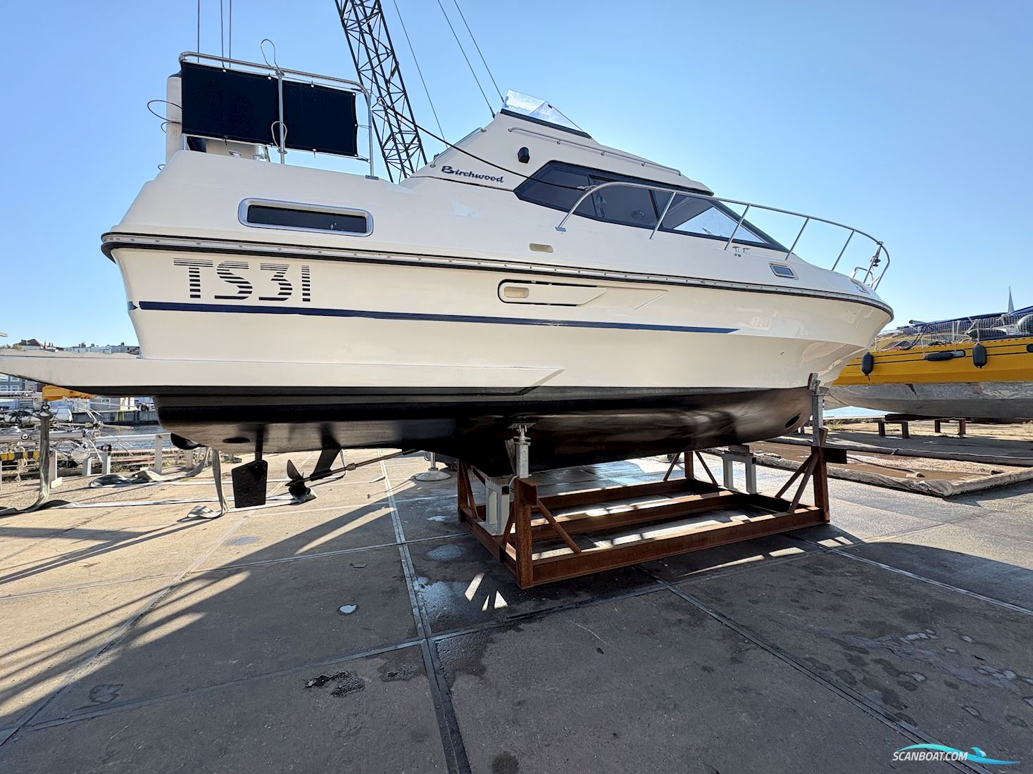 Birchwood 31TS