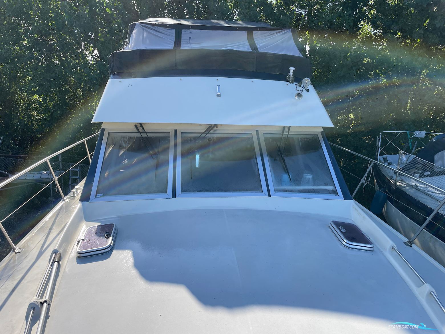 BIRCHWOOD 37 President