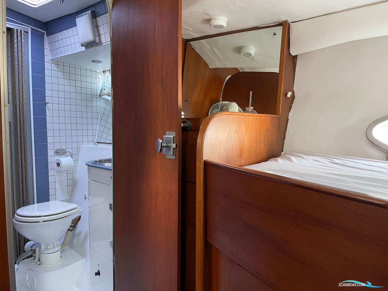 BIRCHWOOD 37 President