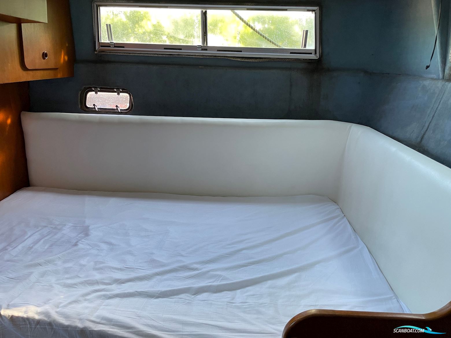 BIRCHWOOD 37 President