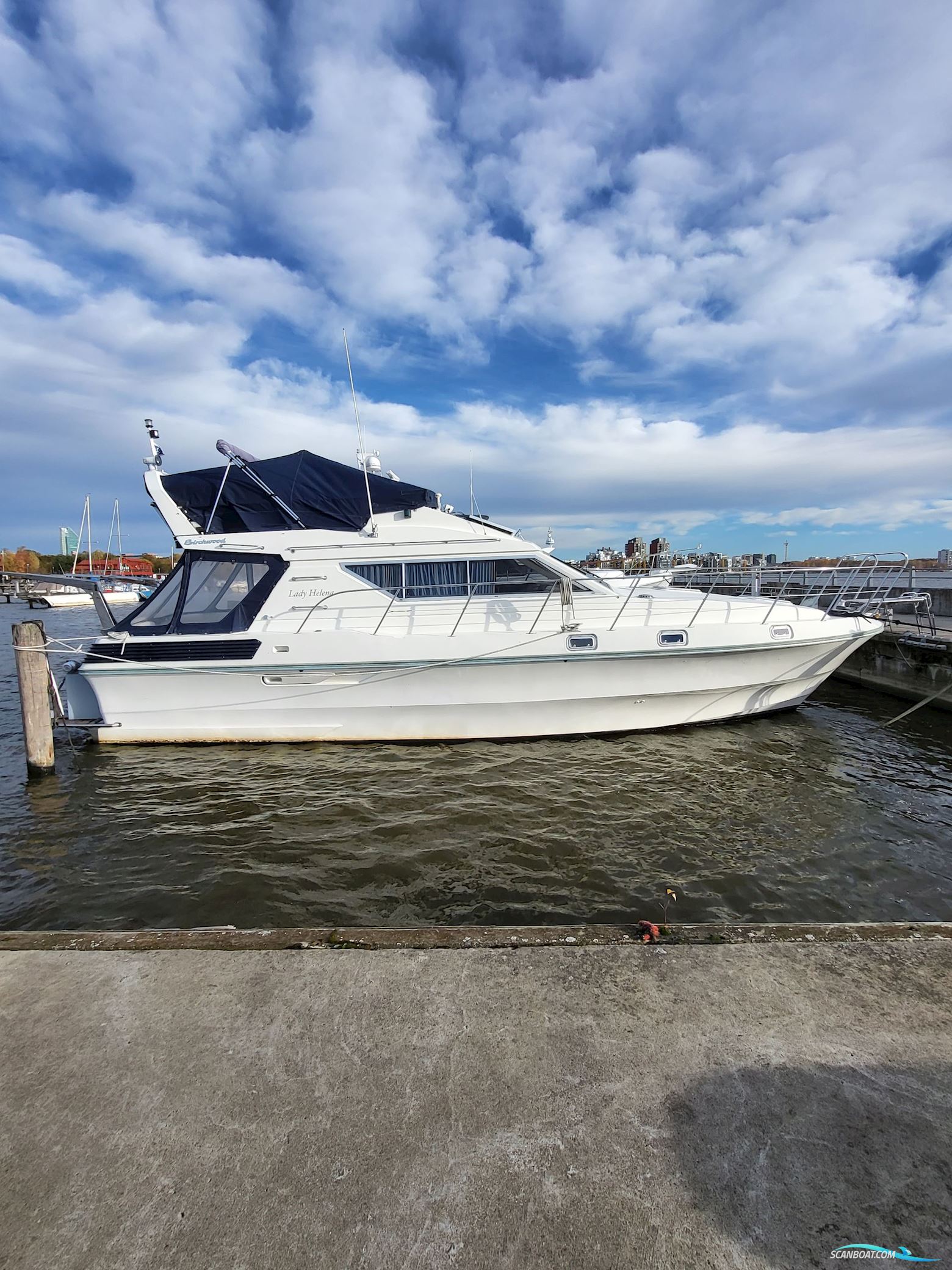 Birchwood ts 37 Höst pris innan upptagning