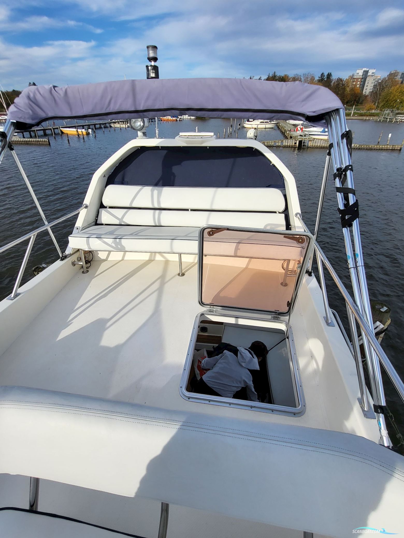 Birchwood ts 37 Höst pris innan upptagning