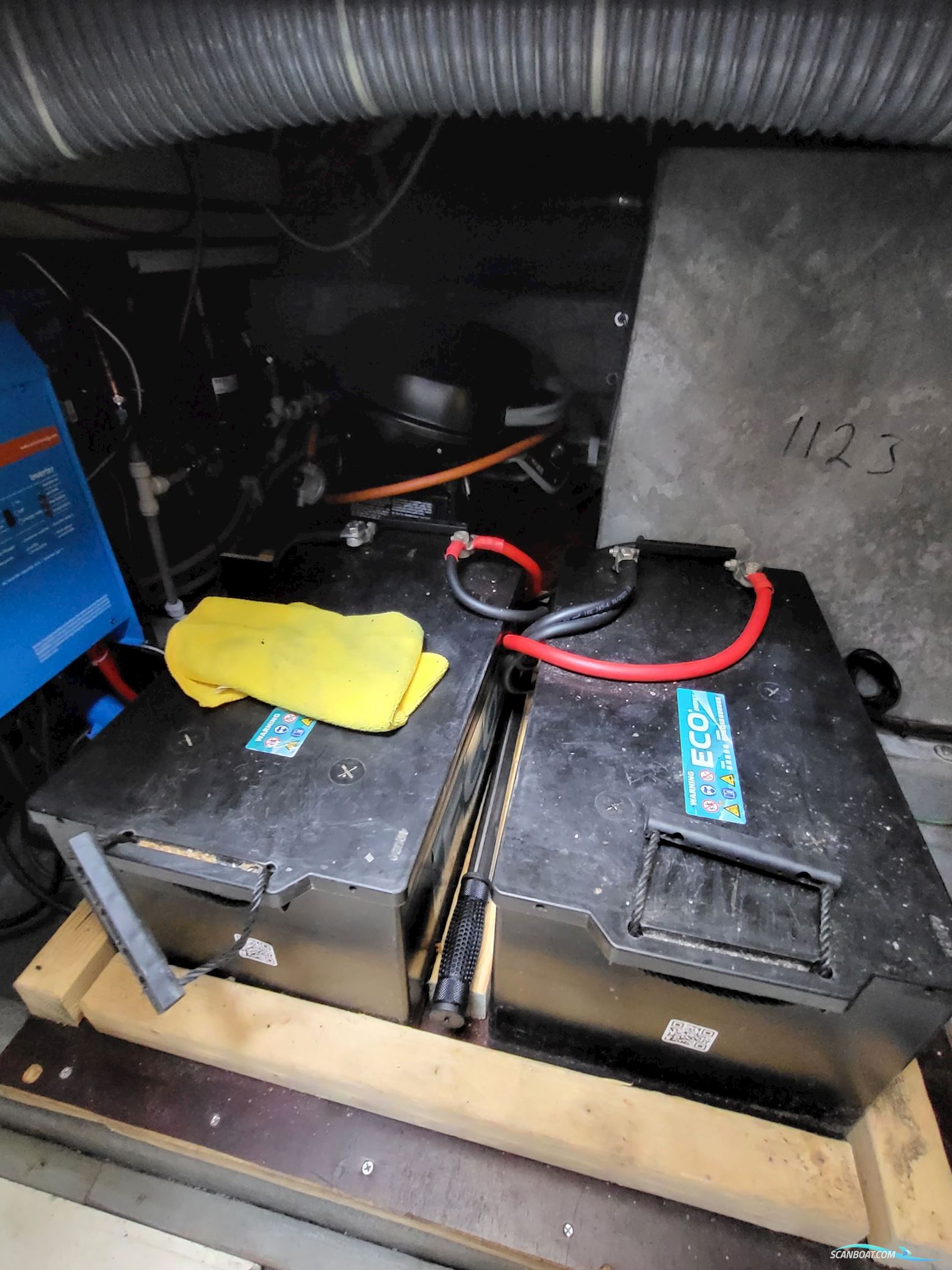 Birchwood ts 37 Höst pris innan upptagning