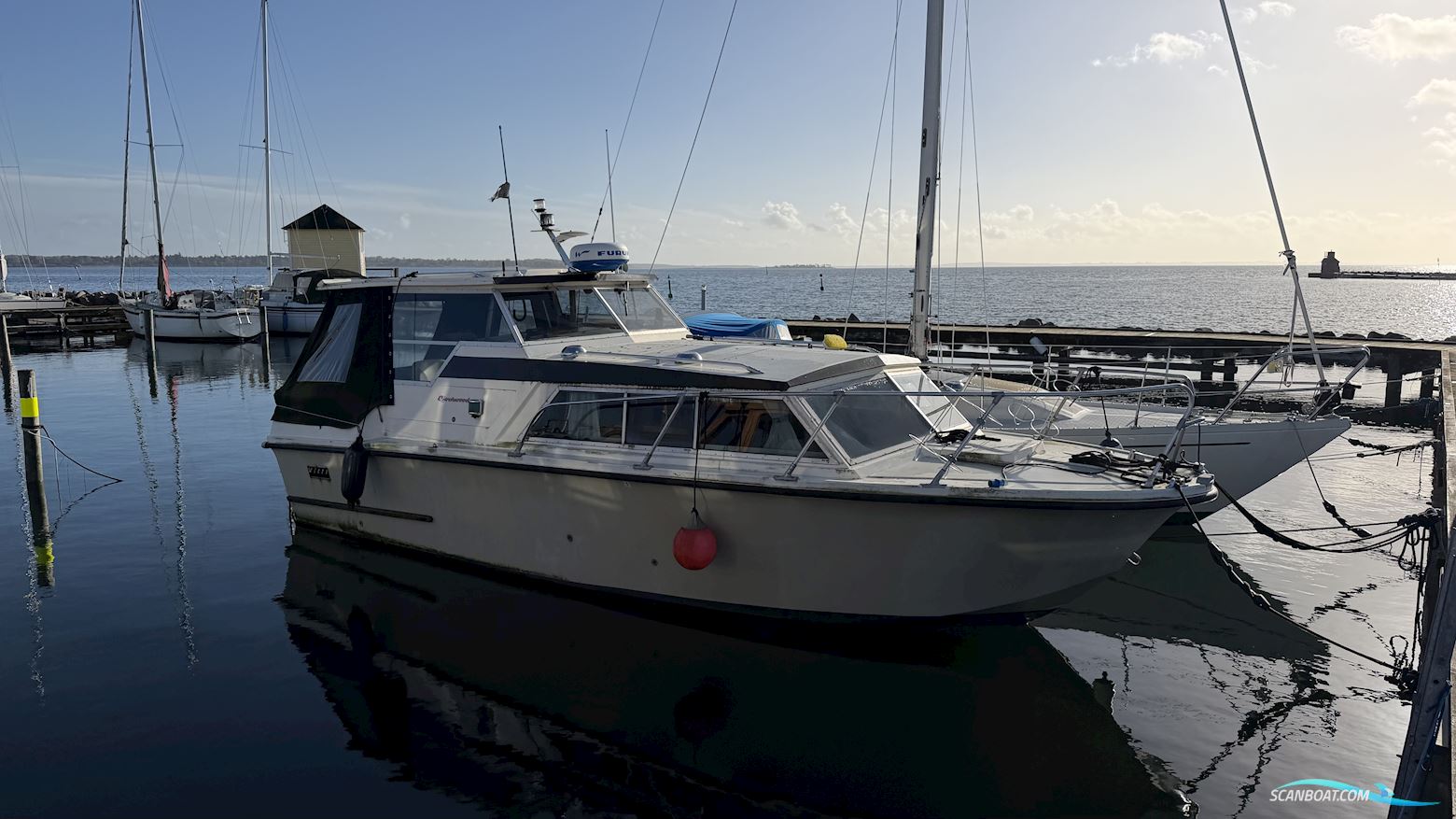 Birckwood 25 HT
