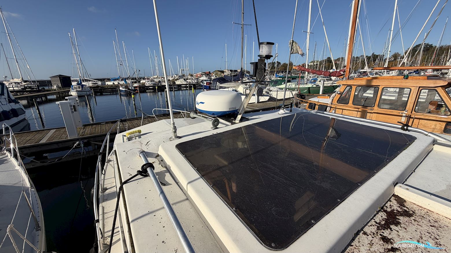 Birckwood 25 HT