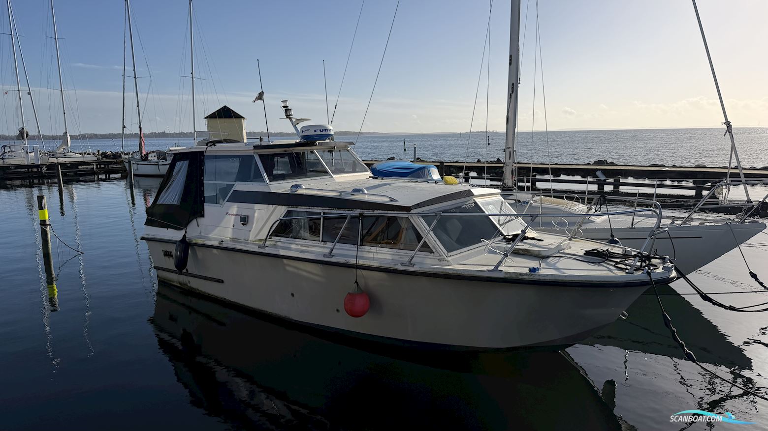 Birckwood 25 HT