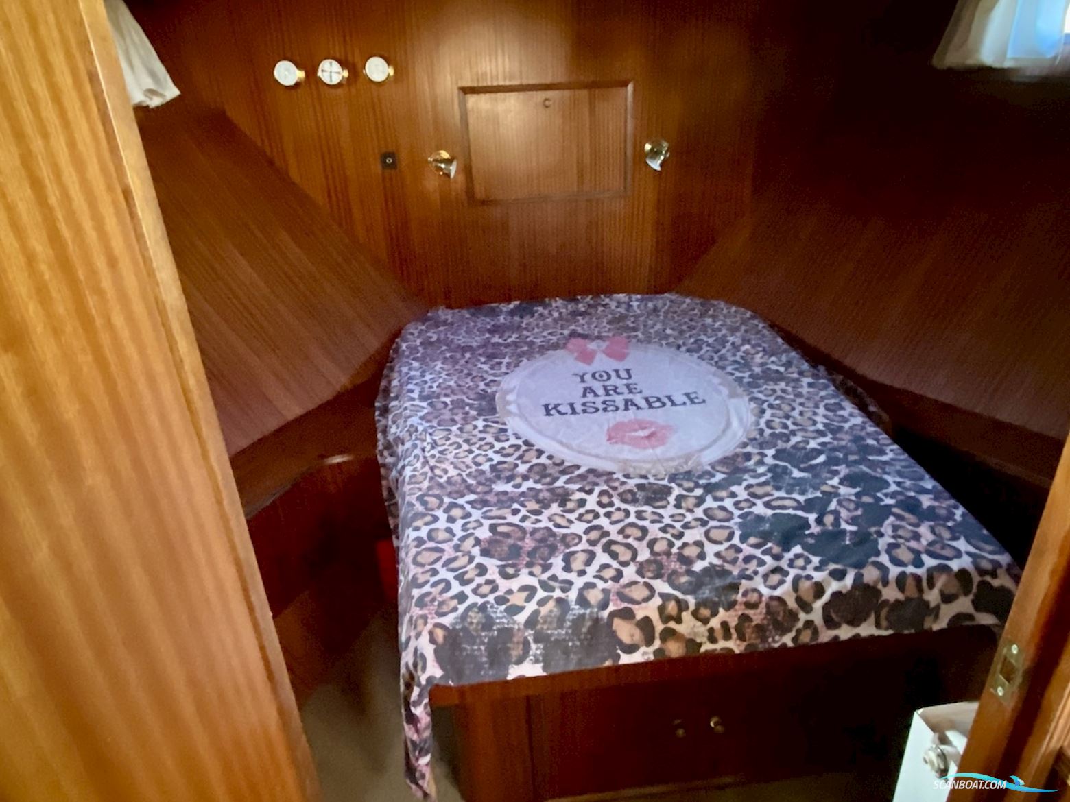 Blauwe Hand Commander