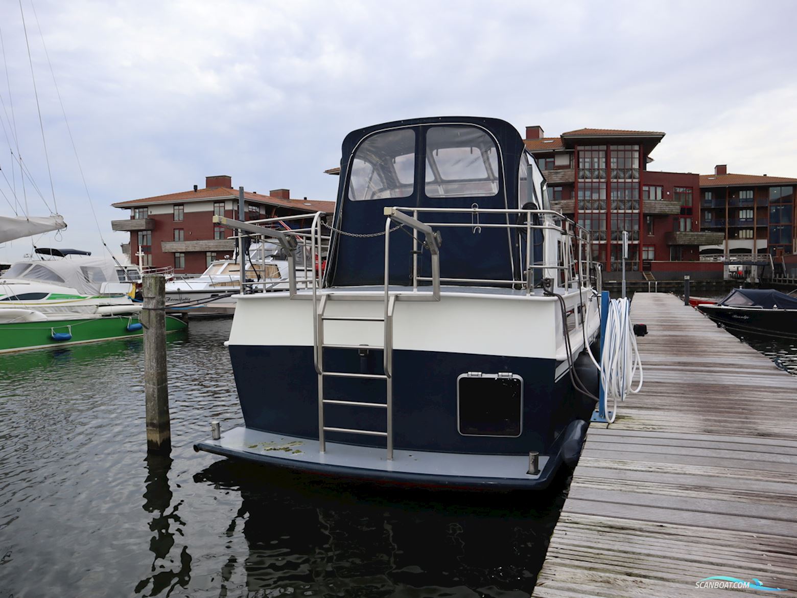 Blauwe Kruisvaarder 12.5