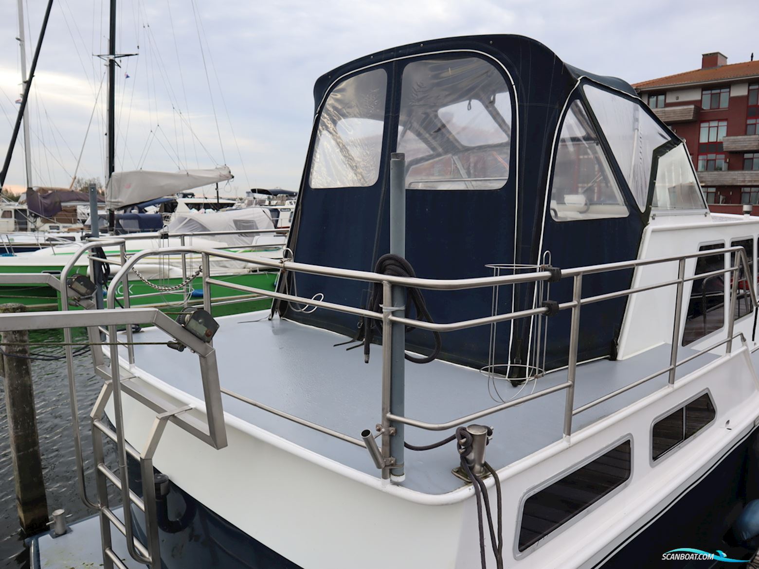 Blauwe Kruisvaarder 12.5