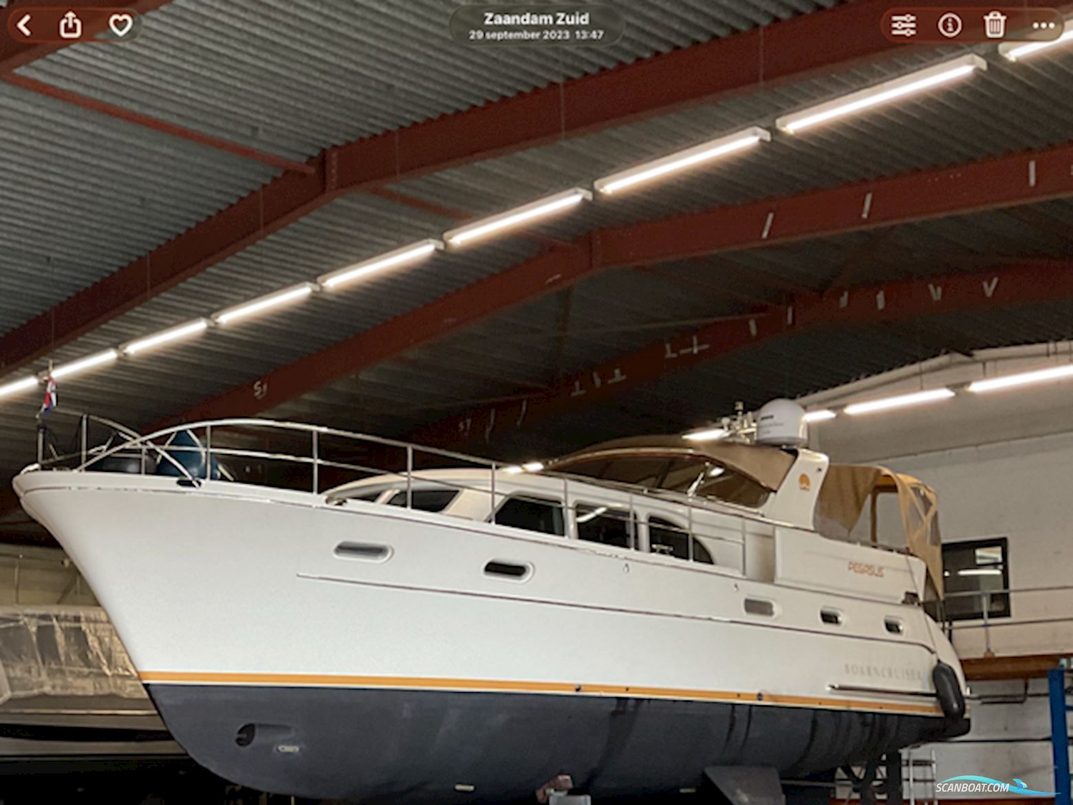 Boarncruiser 50 Retro Line