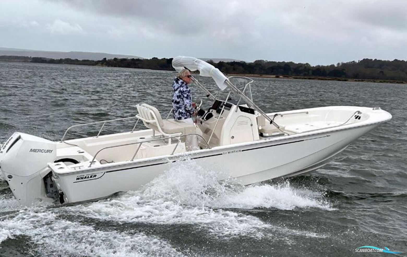 Boston Whaler 210 Montauk Motorbåt 2024, Holland