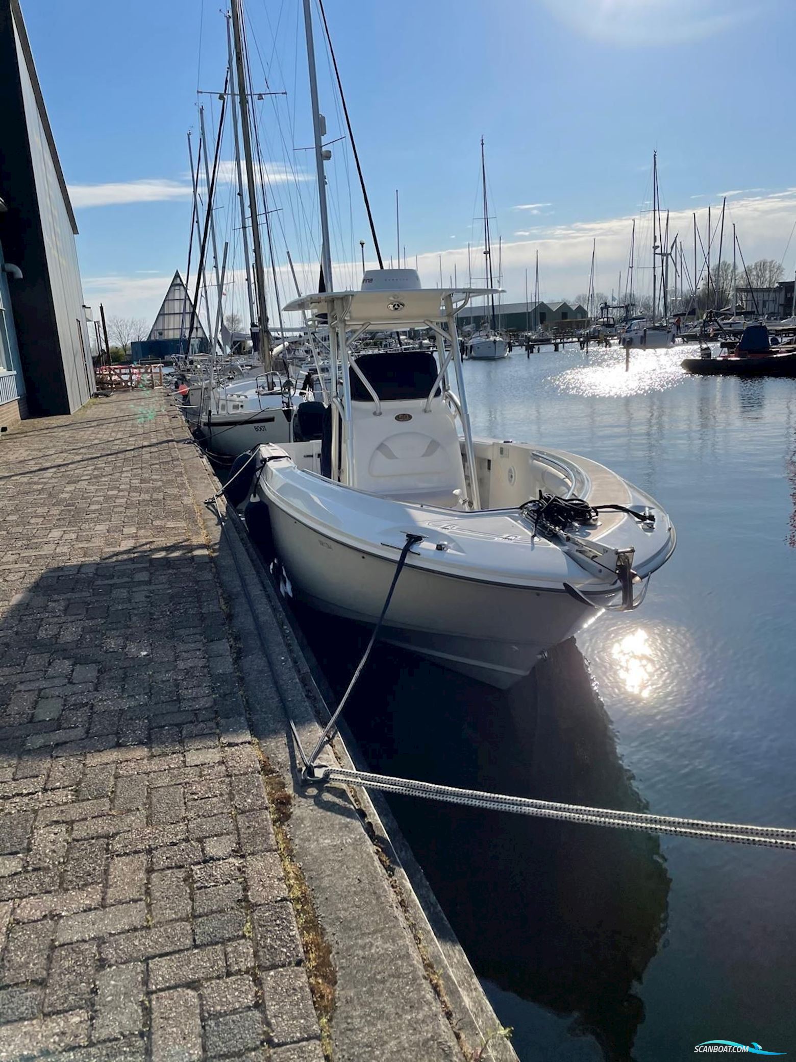 Boston Whaler 270 Outrage
