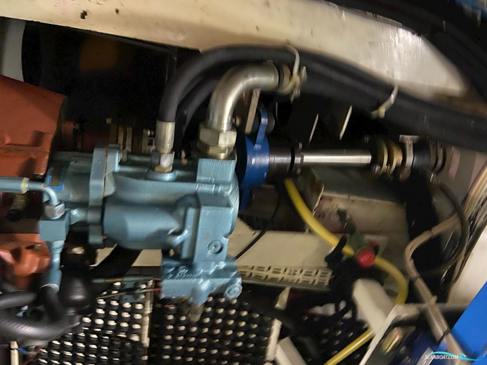 Bronsveen Kotter 14.95