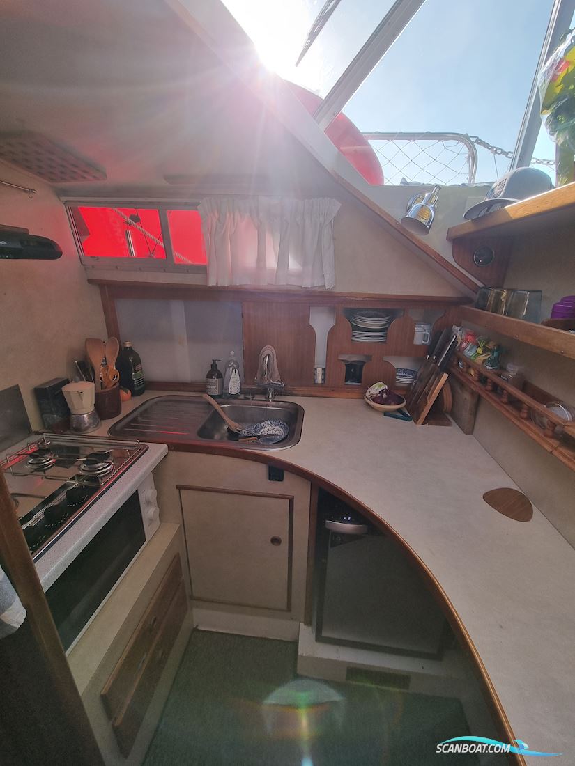 Broom 35 European