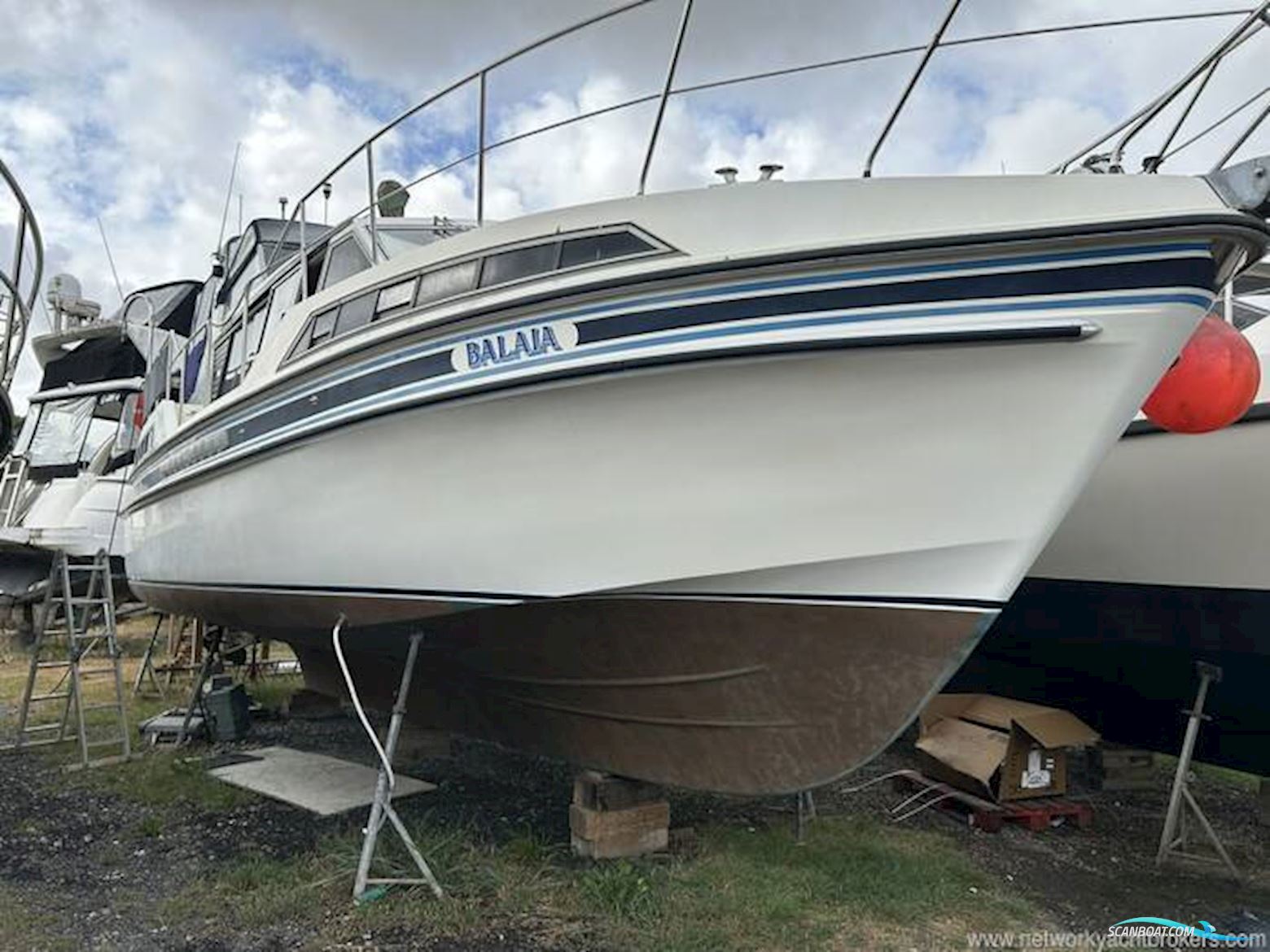 Broom Crown 37