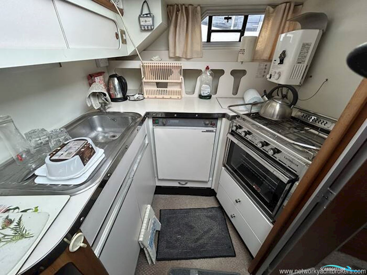 Broom Crown 37