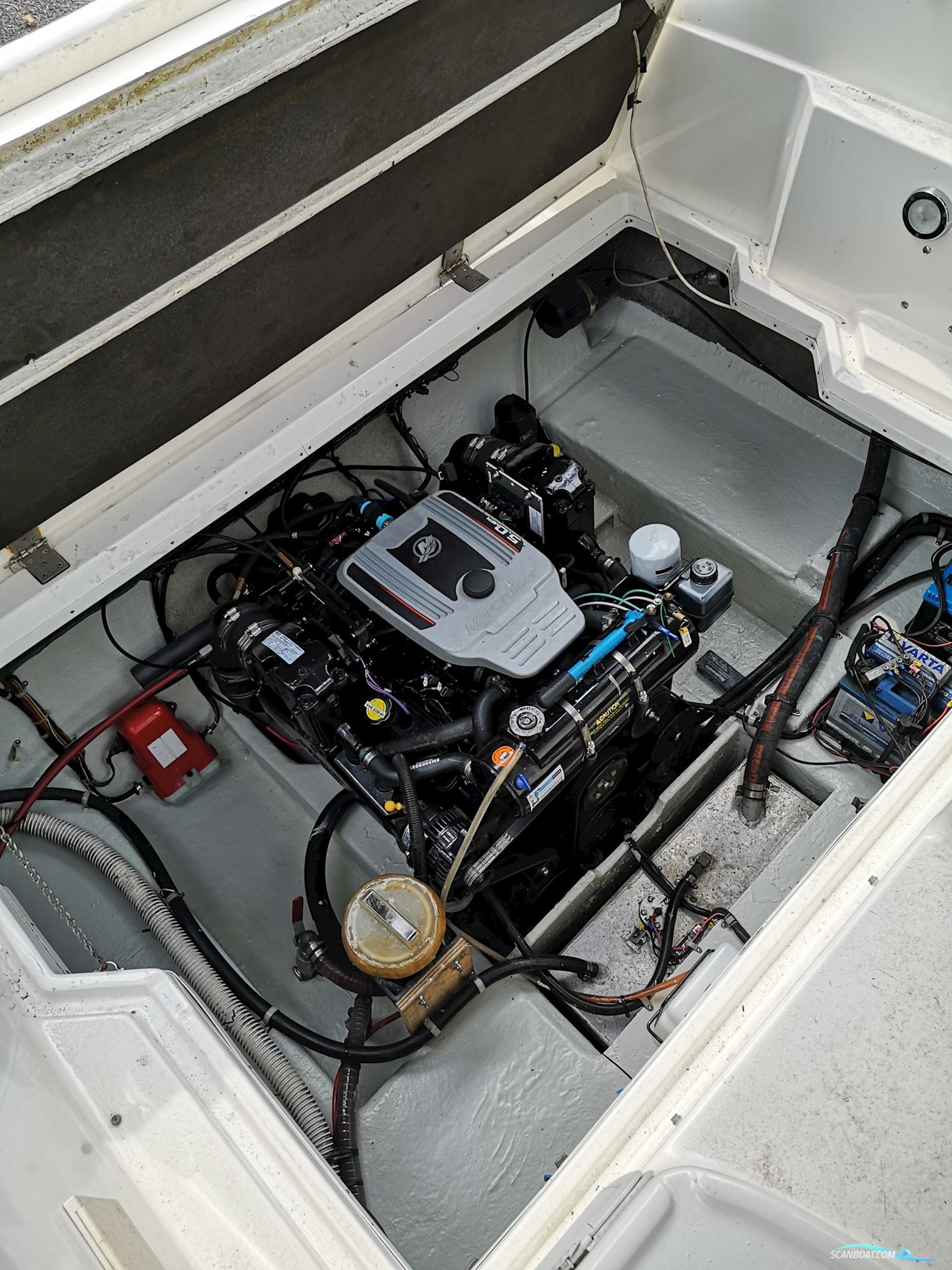 Campion 245 Victoria