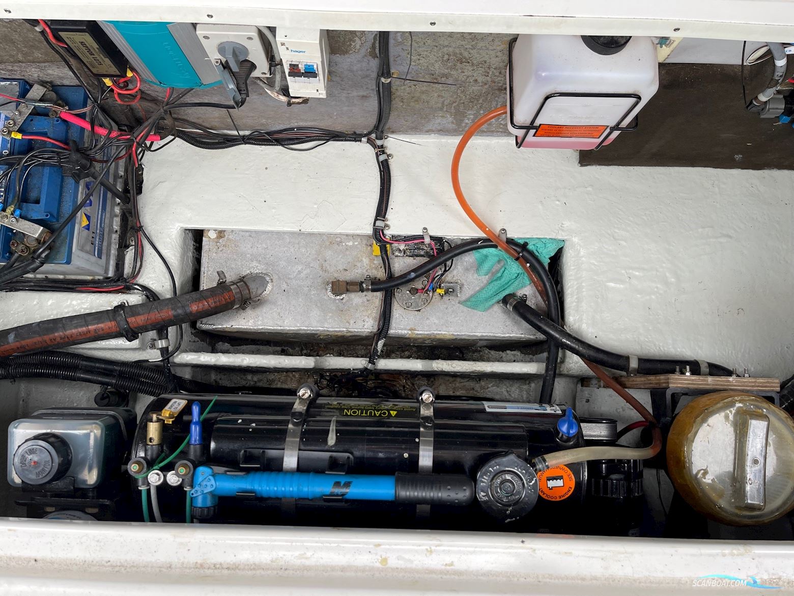 Campion 245 Victoria