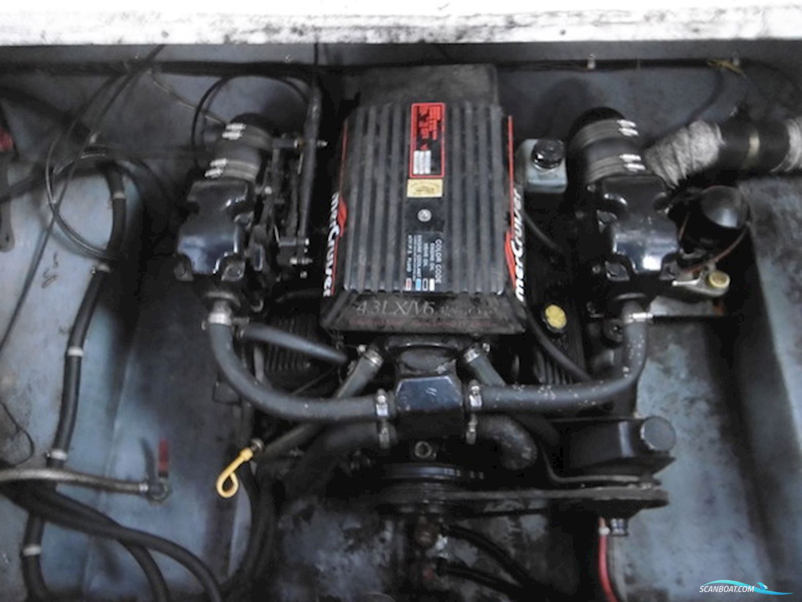 Campion 245 Victoria