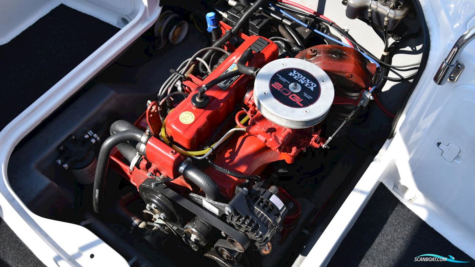 Campion 552i