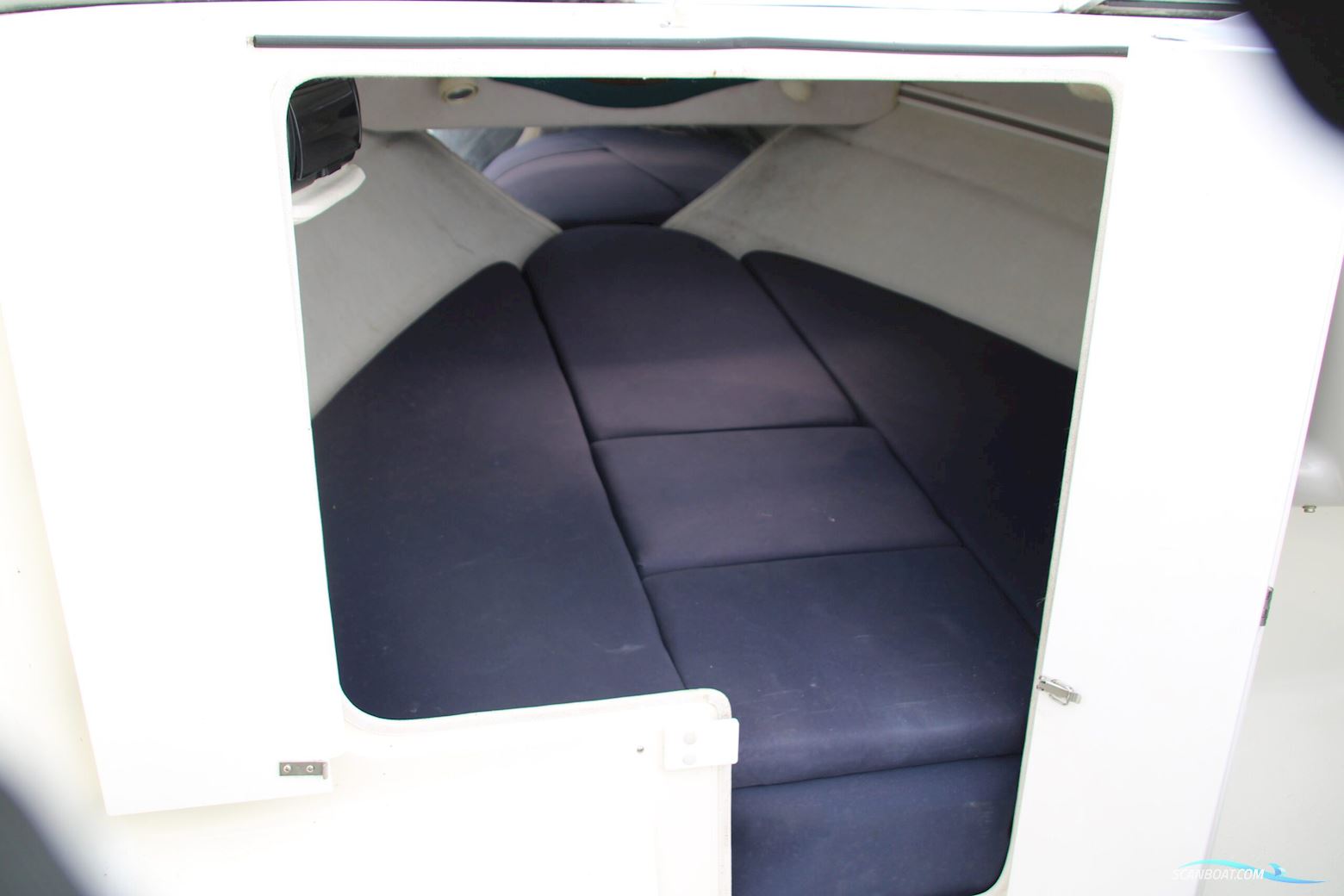 Campion 565 SC Allante