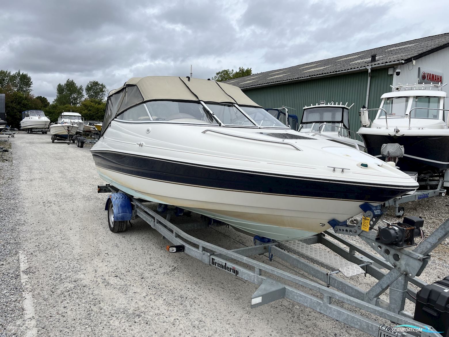 Campion 565 SC Allante Motorbåt 2024, Danmark