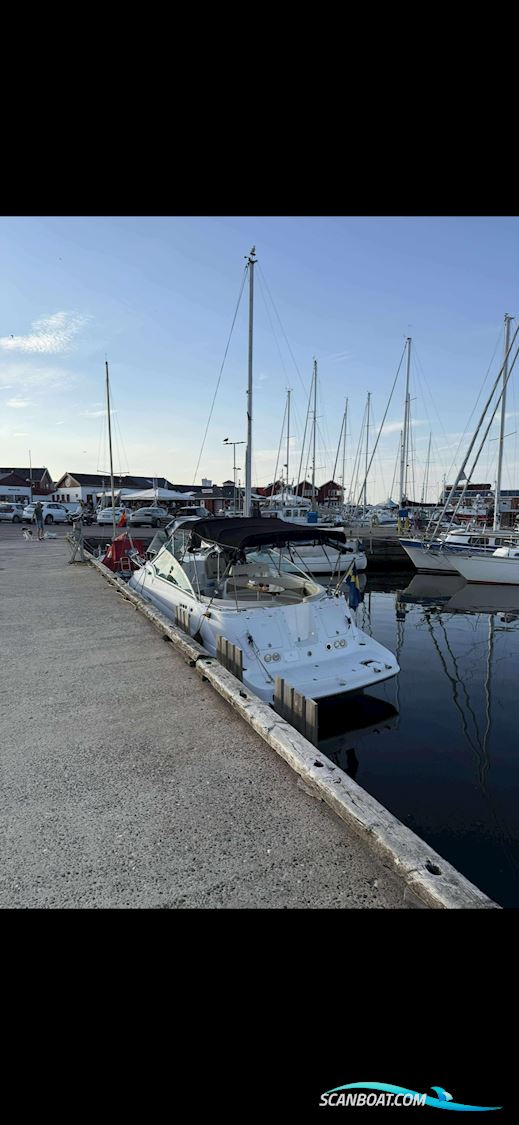 Campion Allante 825i 