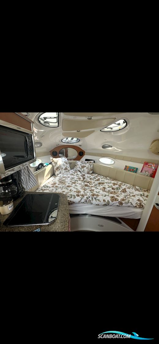 Campion Allante 825i 