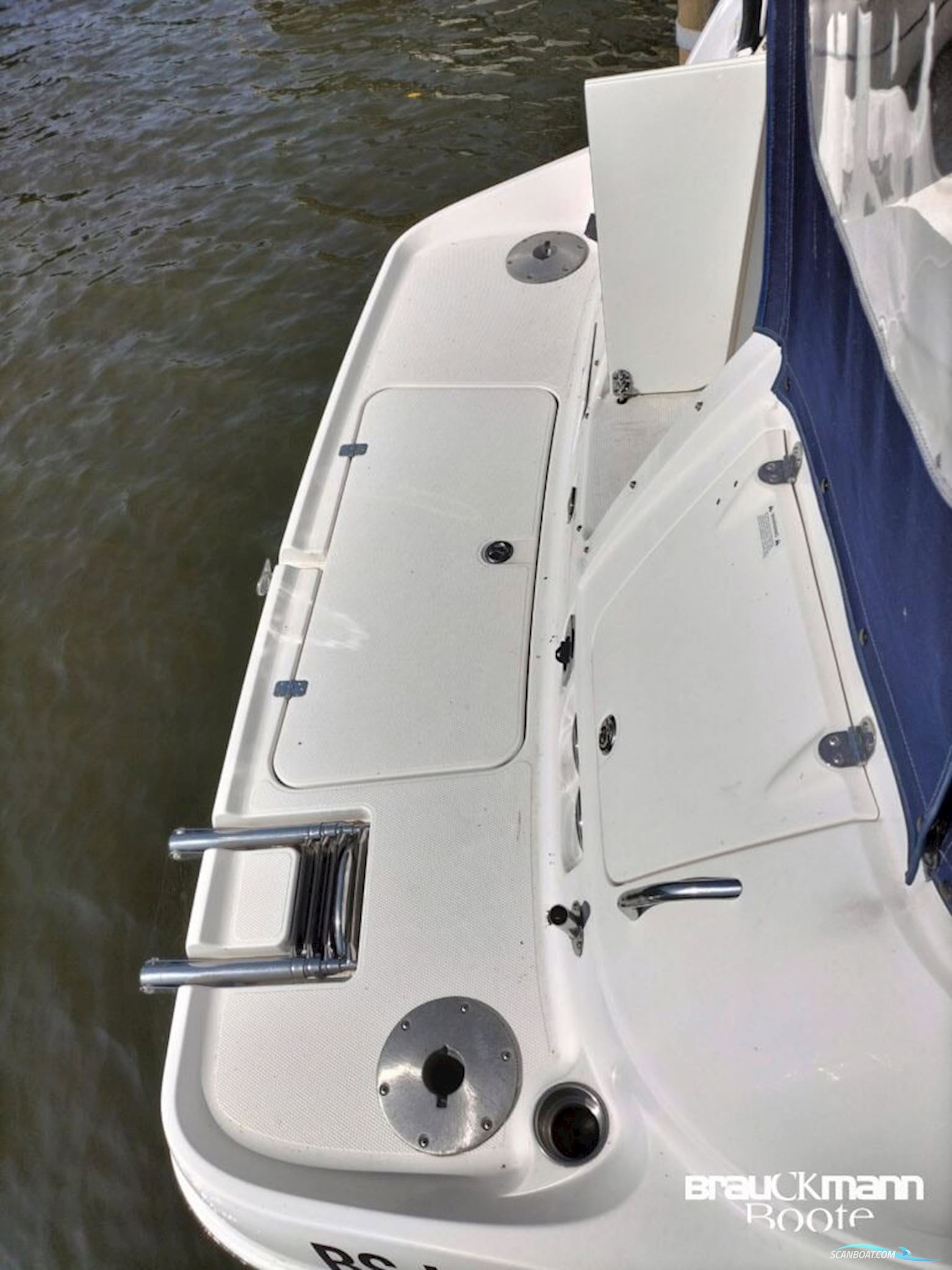 Campion Allante 825i