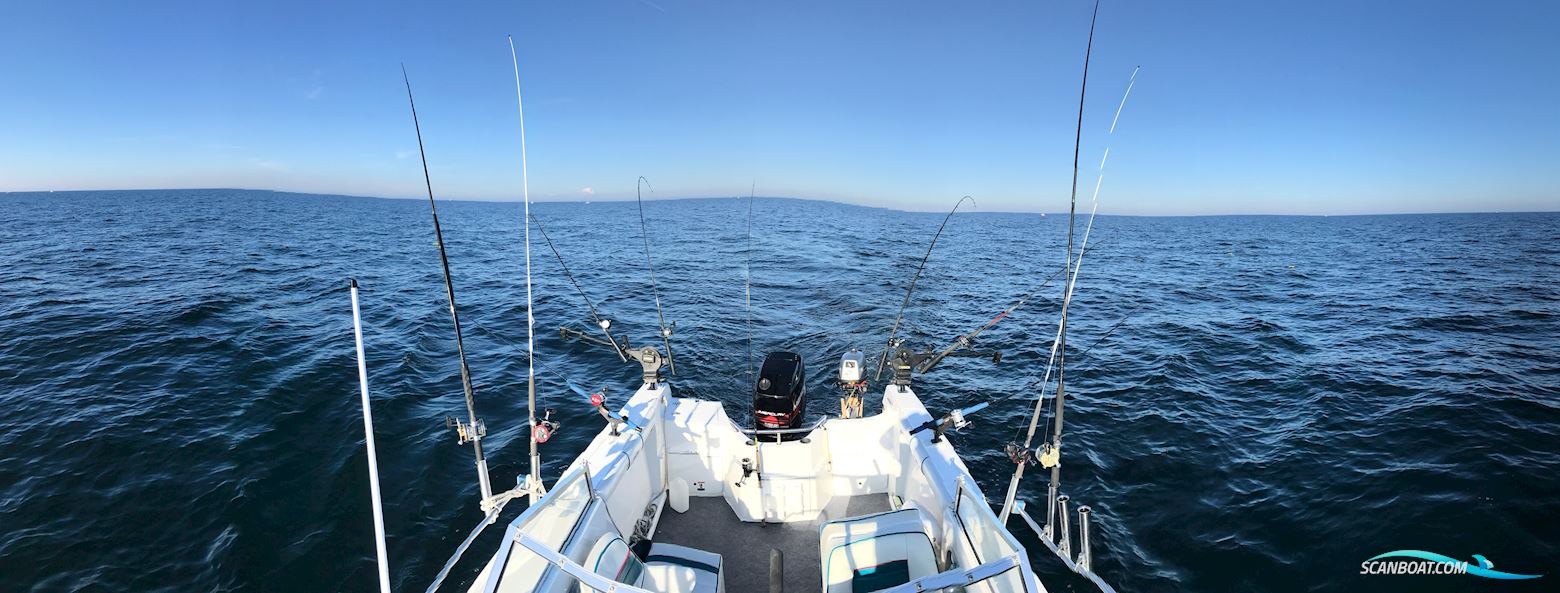 Campion Explorer 542