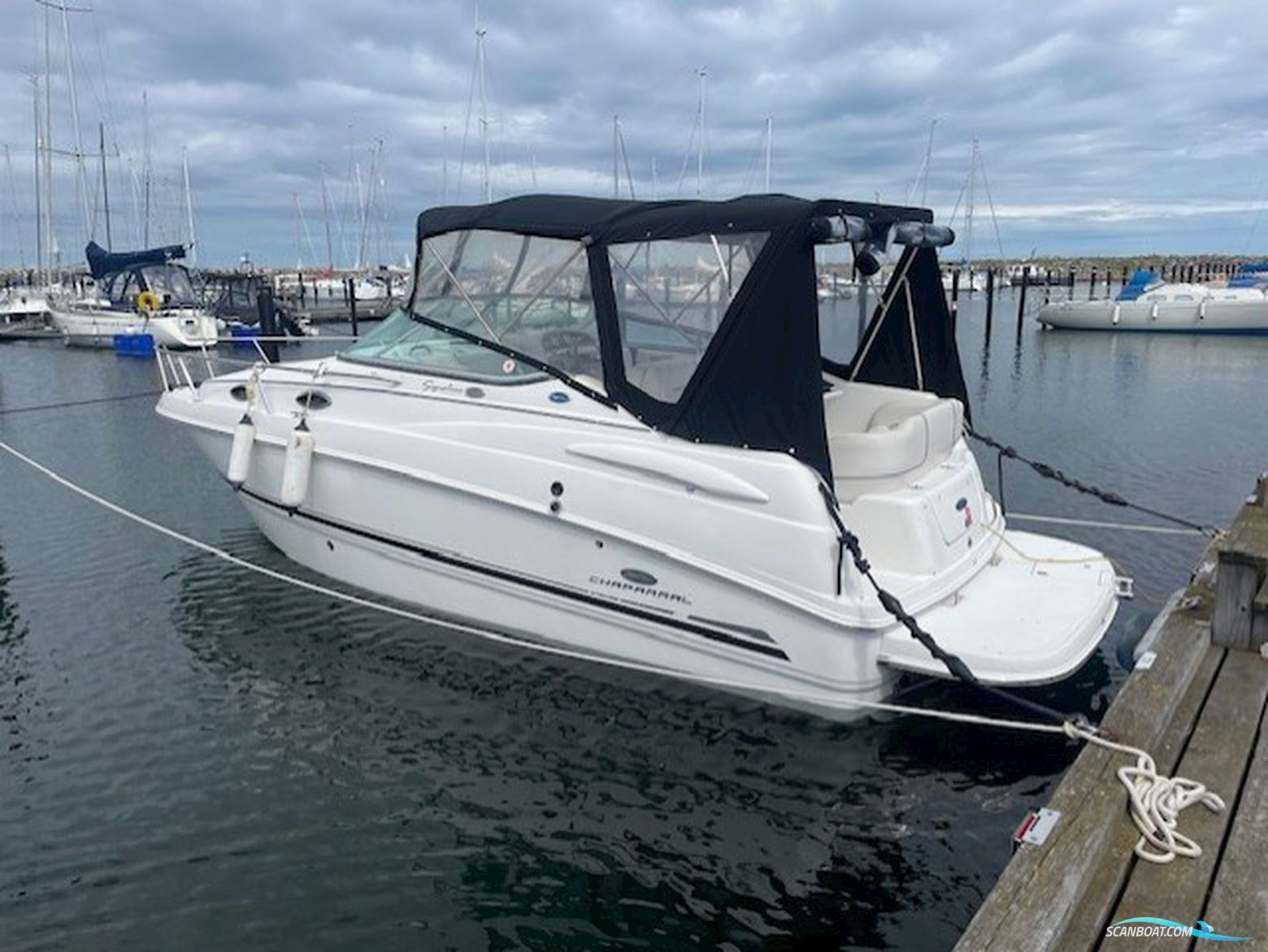 Chaparall Signature 240