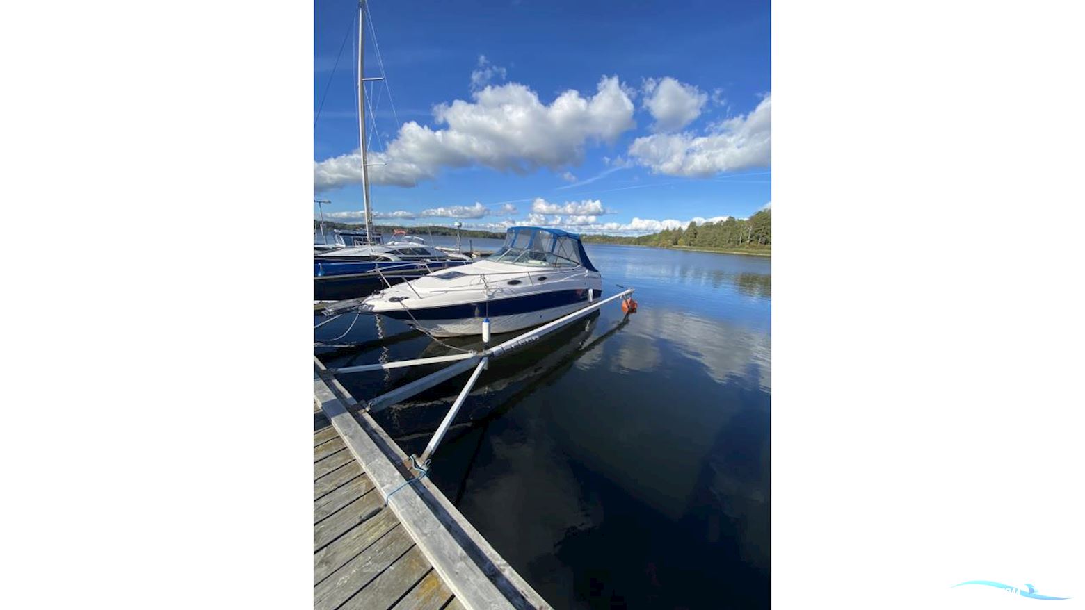 Chaparral 240 Signature