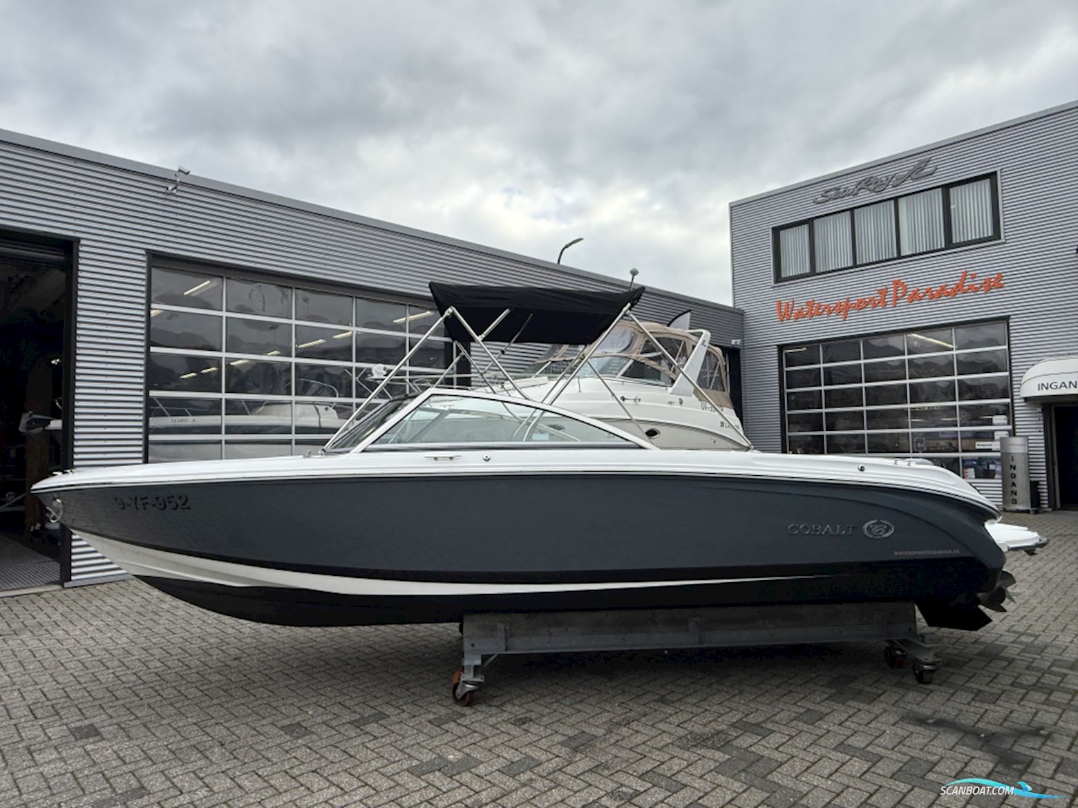 Cobalt 220 S/r