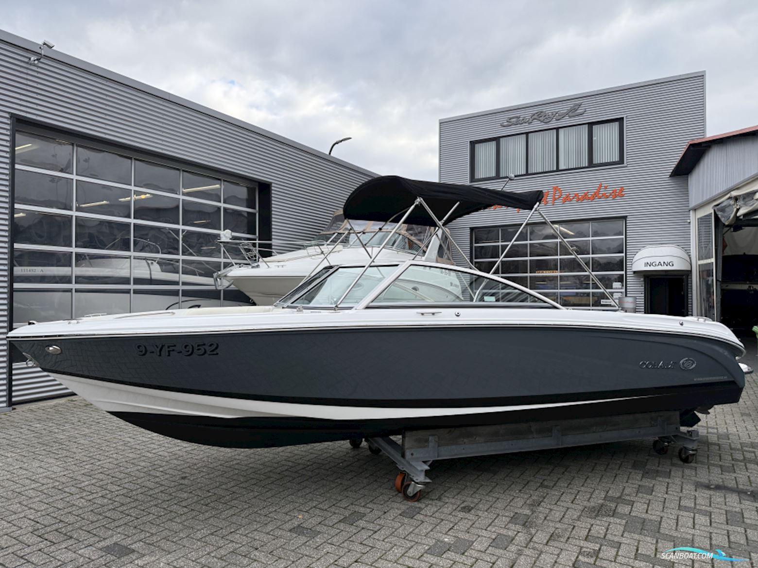 Cobalt 220 S/r
