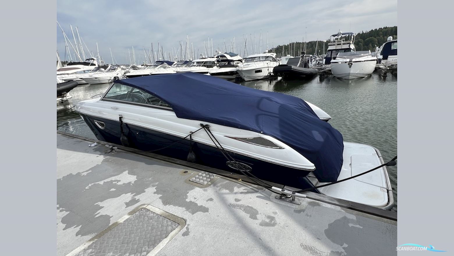 Cobalt 243
