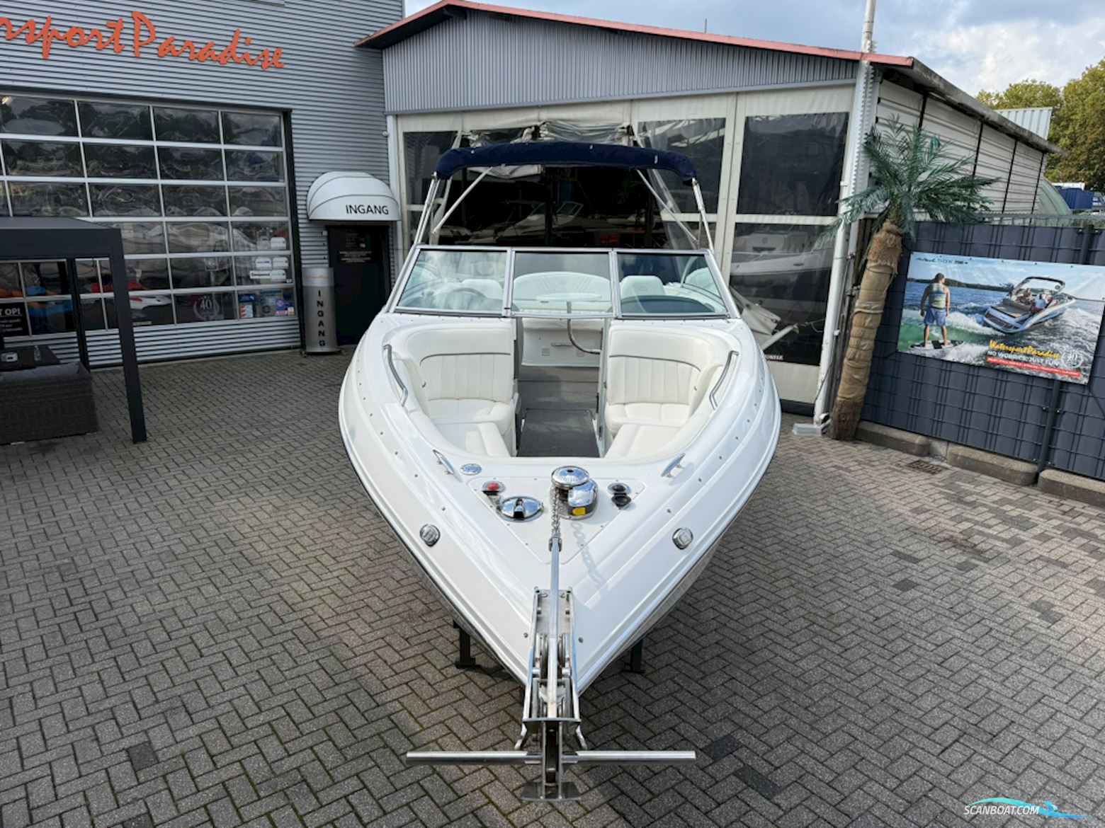 Cobalt 252