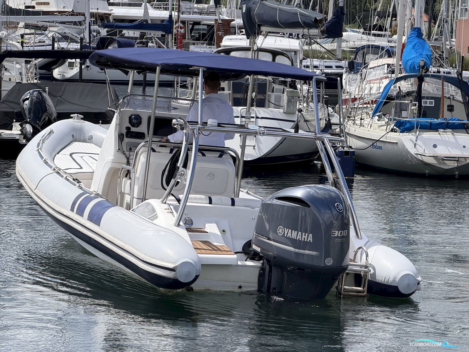 Cobra 8.0 Rib F 350
